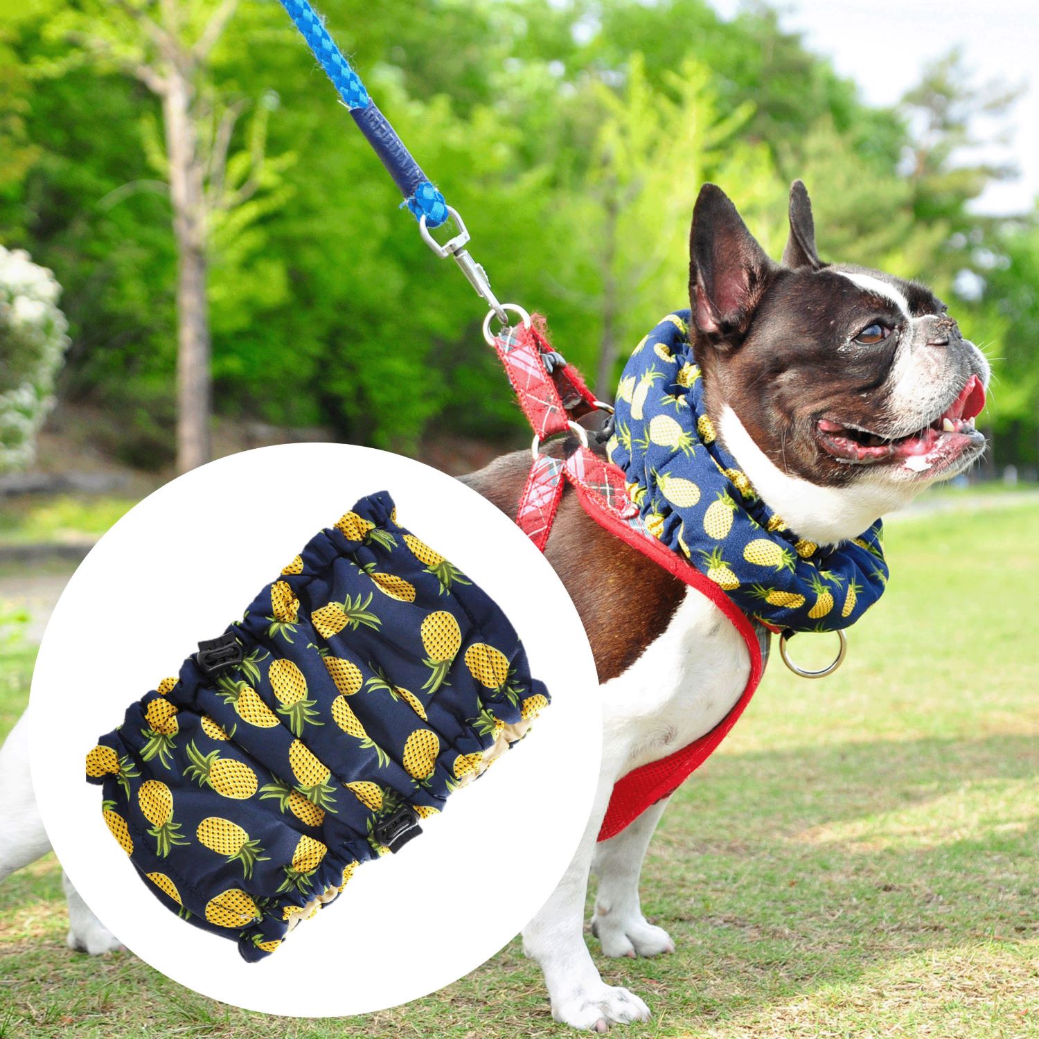 4570035058742



0



トラスト
クールバンド パイン