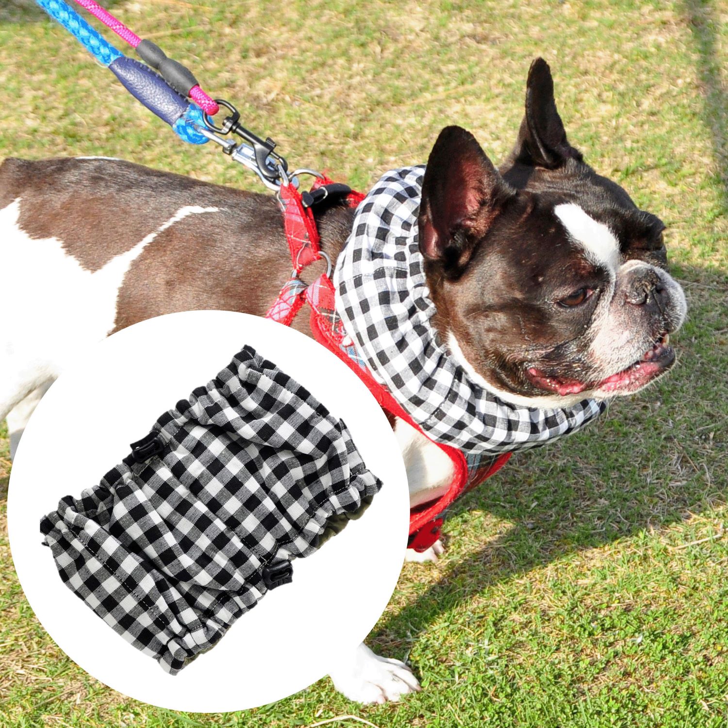 4570035058766



0



トラスト
クールバンド チェック