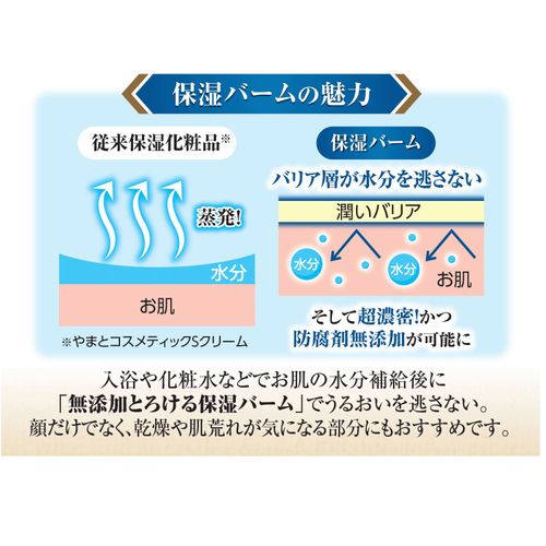 4.9029E+12







マックス
無添加 とろける保湿バーム