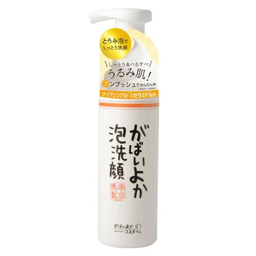 4.56025E+12



ｱｽﾃｨGA-30



スワン
がばいよか泡洗顔