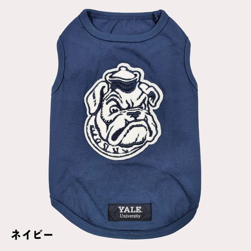 4582721401244







クアトロ
スパオールドッグウェアYale