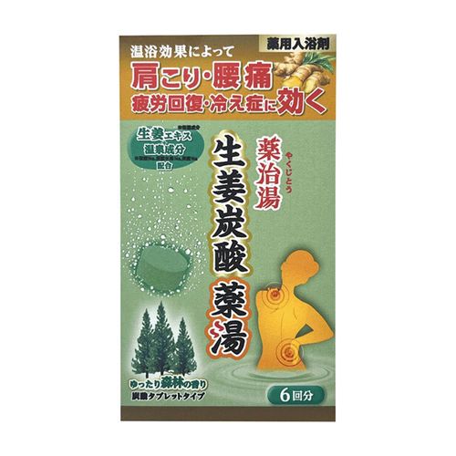 4976552041999







ヘルス
薬治湯生姜炭酸薬湯医薬部外品