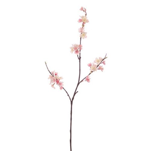 4951614644905







ビバ工芸
オオヤマザクラ M