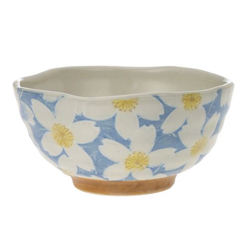 4965476502310







松本陶器
彩桜 飯碗