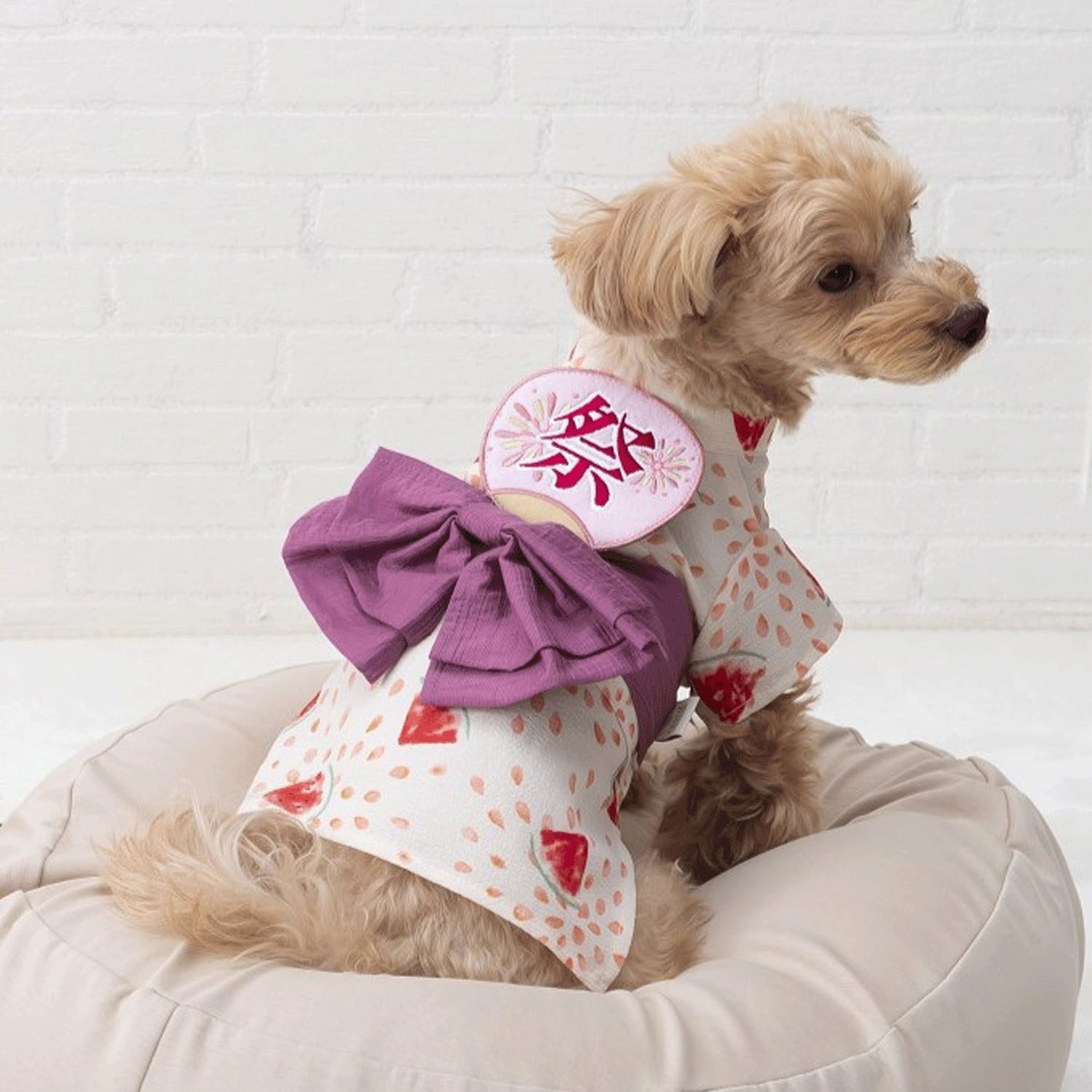 4952070586976







小泉　ライフテックスカンパニー
ペット用浴衣 スイカ