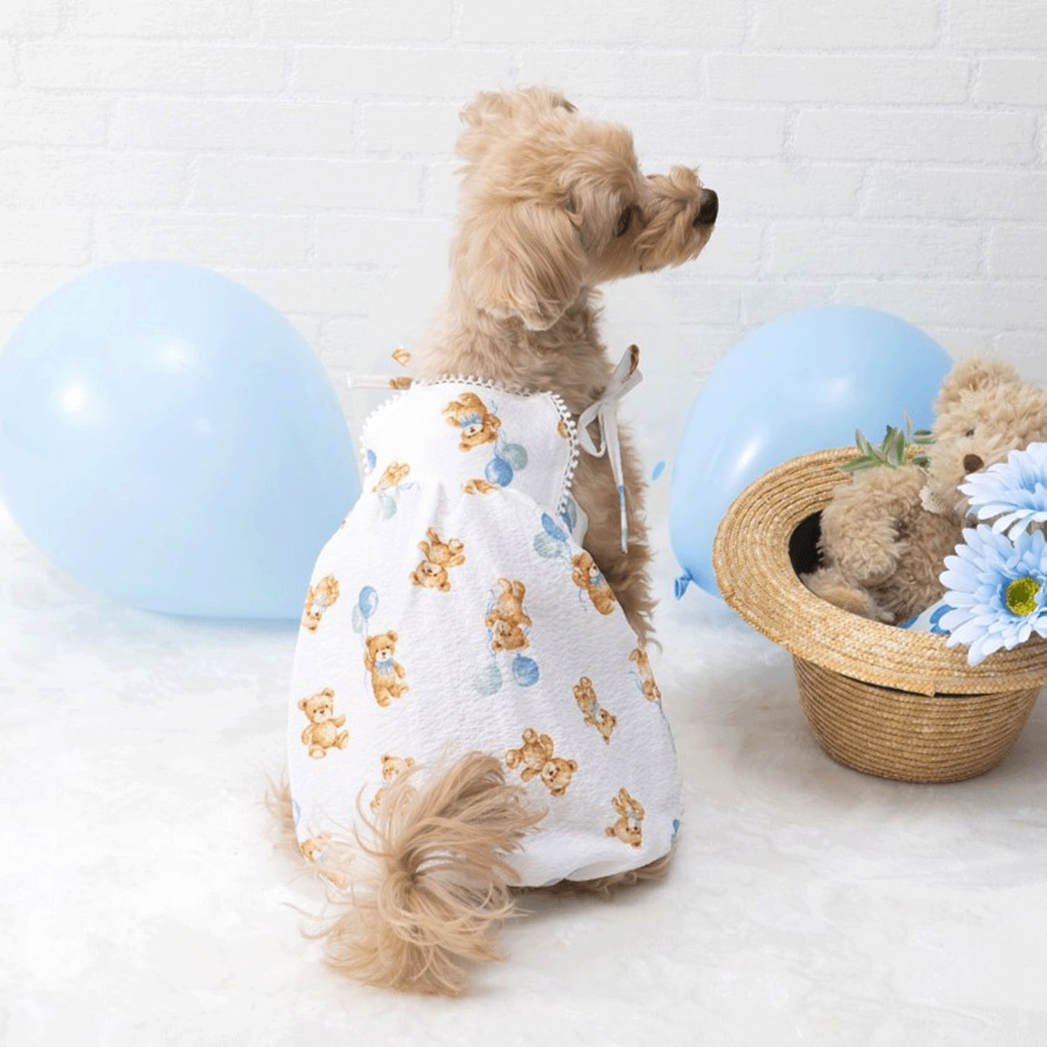 4952070587119







小泉　ライフテックスカンパニー
ペット用バルーンキャミ クマ