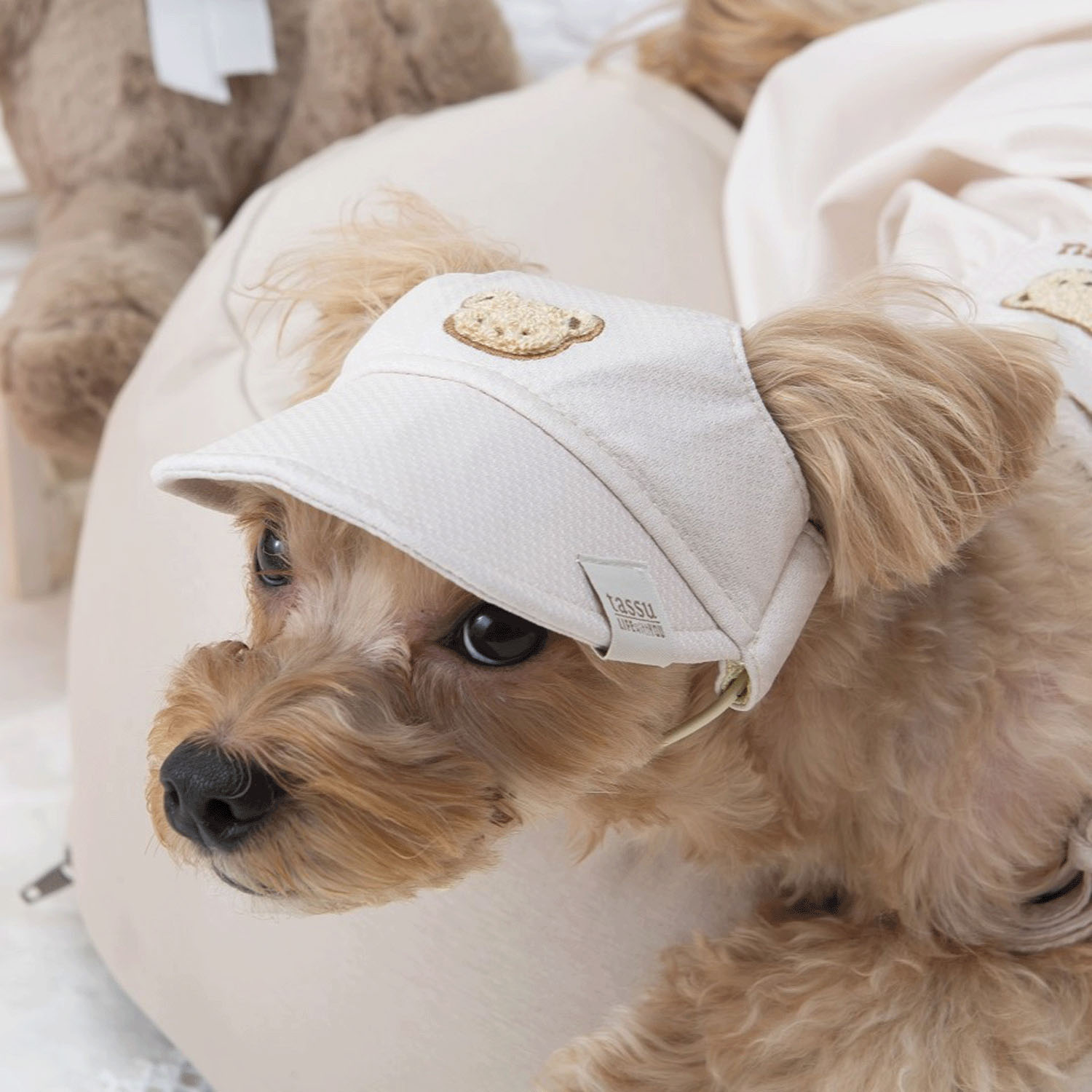 4952070587317







小泉　ライフテックスカンパニー
COOL CLOTH帽子