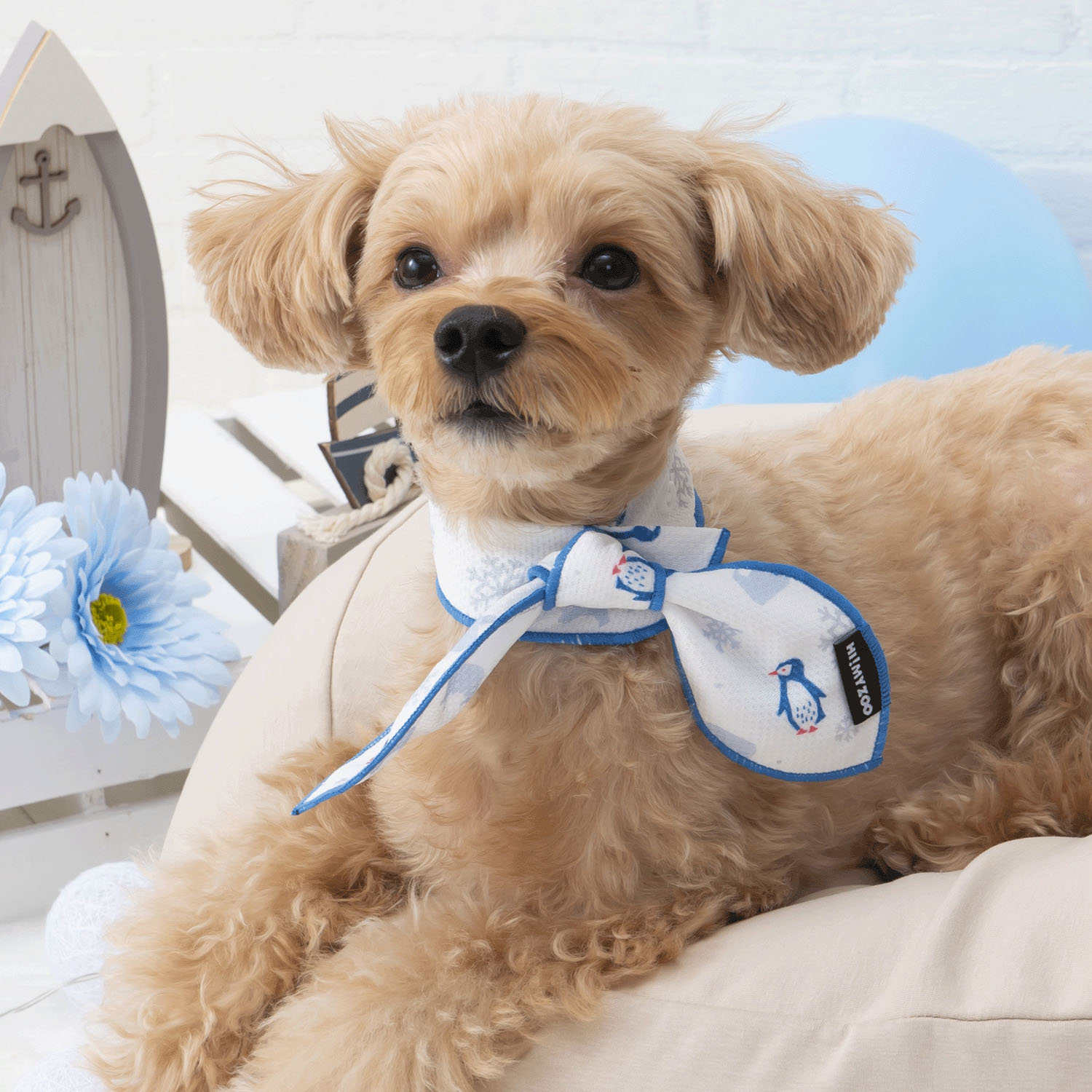 4952070585887







小泉　ライフテックスカンパニー
HI！MY ZOO クールスカーフ ペンギン／シロクマ