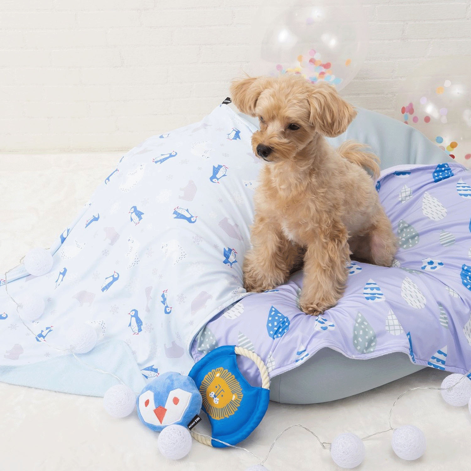 4952070586426







小泉　ライフテックスカンパニー
HI！MY ZOO クールケット