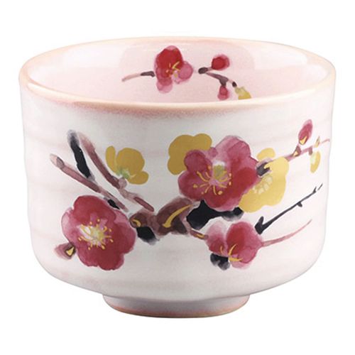 020035



イチヤマ
万葉草花梅下掛けピンク抹茶碗