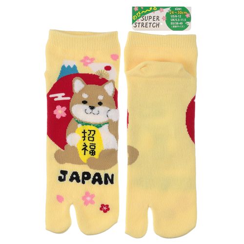 4526830240080







スタジオ・ポアック
JAPANESESOUVENIRSOCKSのびのびストレッチ足袋スニーカー丈24－30cm