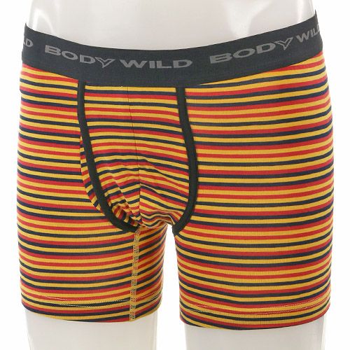 4967162963542







グンゼ　
BODYWILD ボクサーブリーフ（前開き） ボーダー柄
