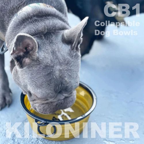 0810147080311



0



ＳＵＮＧＲＡＮ
CB1 Collapsible Dog Bowls