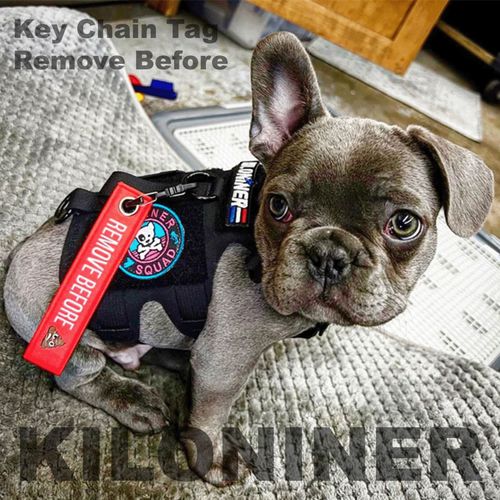 0810147083503



71088100100



ＳＵＮＧＲＡＮ
Key Chain Tag Remove Before Poop M