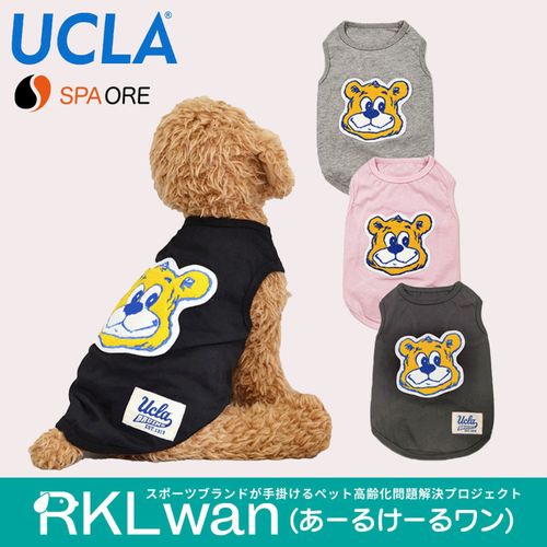 4582721401121



0



クアトロ
スパオール ドッグウェア UCLA