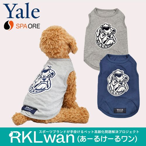 4582721401244



0



クアトロ
スパオール ドッグウェア Yale