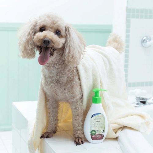 4560265454513



250ML



ティ．エス．プランニング
オーガニック ラプナット Bio ドッグシャンプー ロングヘアー 250ml（犬用シャンプー）