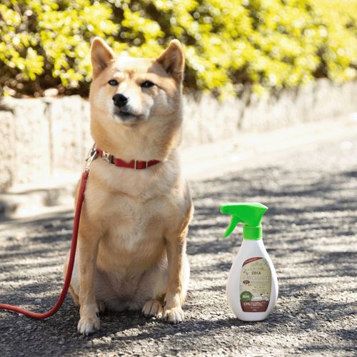4560265454599



250ML



ティ．エス．プランニング
オーガニック ラプナット Bio 犬・猫トリートメントスプレー 250ml（無添加）