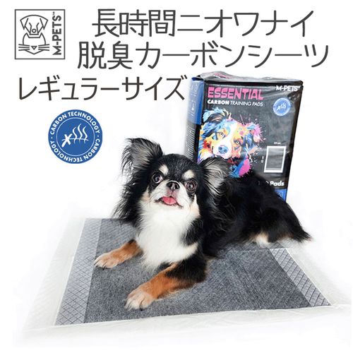 6953182763581



0



ペティファーム
長時間二オワナイ 脱臭カーボンシーツ レギュラー 100枚入り