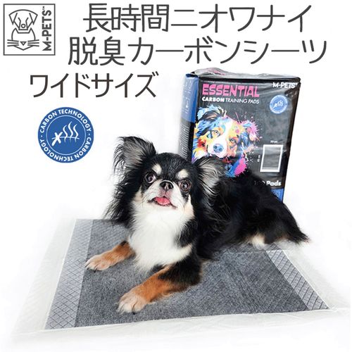 6953182763598



0



ペティファーム
長時間二オワナイ 脱臭カーボンシーツ ワイド 50枚入り