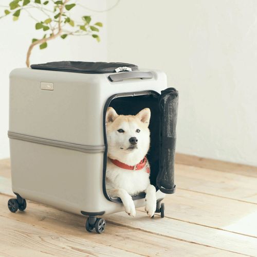 4562481338479



0



ティーアンドエス
PETico ペットキャリー Lサイズ