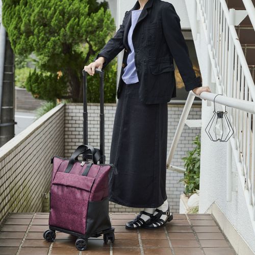 4534863575925



0



レップ
保冷・保温 リーフレース4輪カート