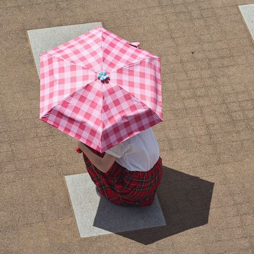 4570121817451



0



アセント
お花パラソル チェック 5段折晴雨兼用ミニ傘