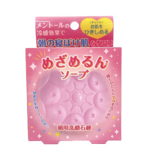 4976631481395



PMZMRNS



ペリカン石鹸
めざめるんソープ