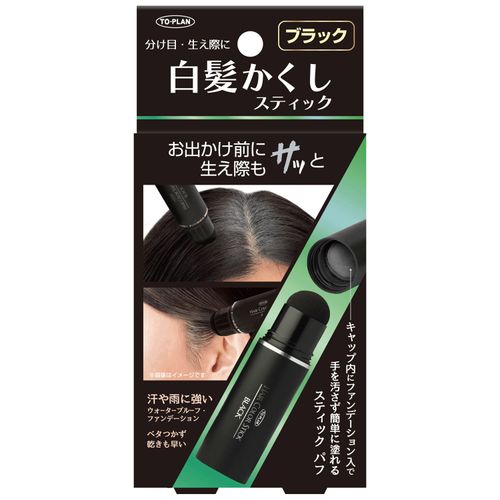 4949176022637



TKMI-011BK



東京企画販売
白髪かくしスティック ブラック