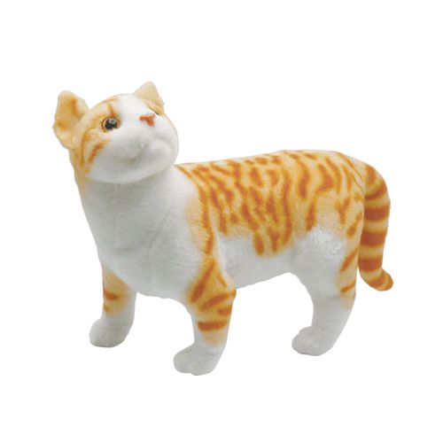 4571526872519







リード
みあげてにゃんこ アメリカンショートヘア