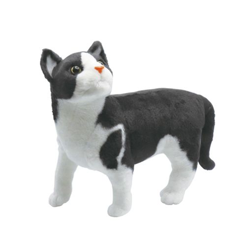 4571526872526







リード
みあげてにゃんこ ハチワレ