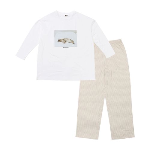 4550521070601



491-2713



センバドー
CAT DAY ルームセット ベンガル