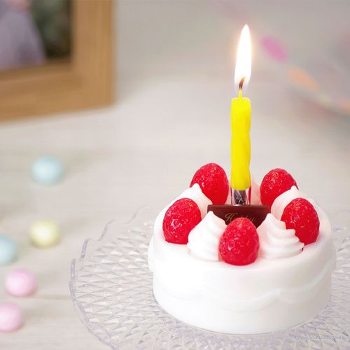 4901435217475



T8723-00-00



カメヤマ　
誕生日ケーキキャンドル