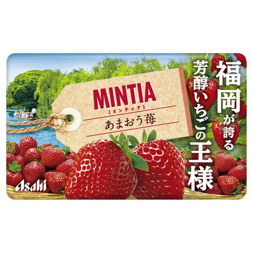 4946842541591







国分首都圏　
ミンティア あまおう苺