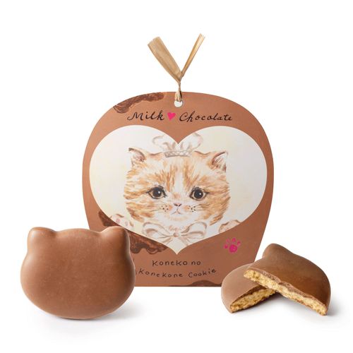 4571542158871







ＤＡＤＡＣＡ
こねこのこねこねクッキー ミルクチョコ4枚
