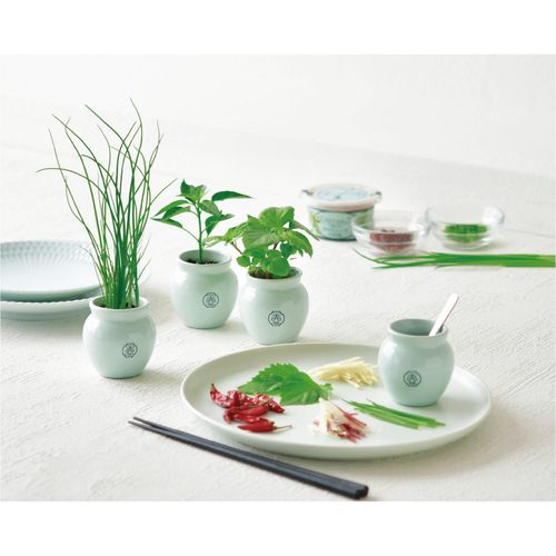0



GD-99801-99803



聖新陶芸　
TSUBO