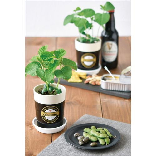 4528757040774



GD-995



聖新陶芸　
育てる黒枝豆栽培セット