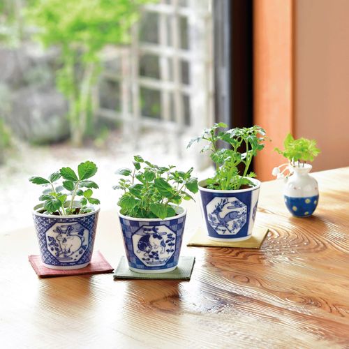 0



GD-1022-01.2.3



聖新陶芸　
栽培セット 染付小紋 草花（そうか）BONSAI 3種入（各2）