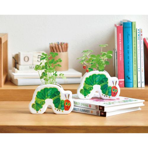 4528757042310



0



聖新陶芸　
栽培セット はらぺこあおむし わくわく陶器ポットガーデン