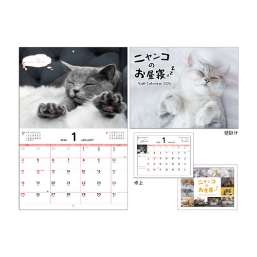 4573514635755



KO635755



日本出版販売　
ニャンコのお昼寝 Wall＆Deskカレンダー 2026