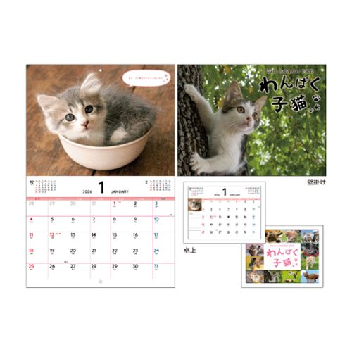 4573514635779



KO635779



日本出版販売　
わんぱく子猫 Wall＆Deskカレンダー 2026