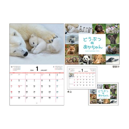 4573514635809



KO635809



日本出版販売　
どうぶつのあかちゃん Wall＆Deskカレンダー 2026