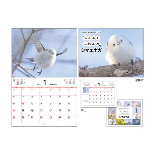 4573514635816



KO635816



日本出版販売　
ふくふくふわふわシマエナガ Wall＆Deskカレンダー 2026