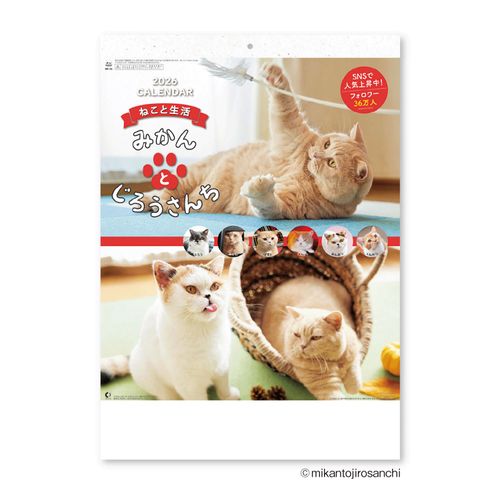 4985849125694



8033



新日本カレンダー
ねこと生活 みかんとじろうさんち （壁掛け）