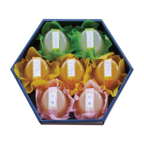 4903664222176







和晃
果実のジュレ7個入