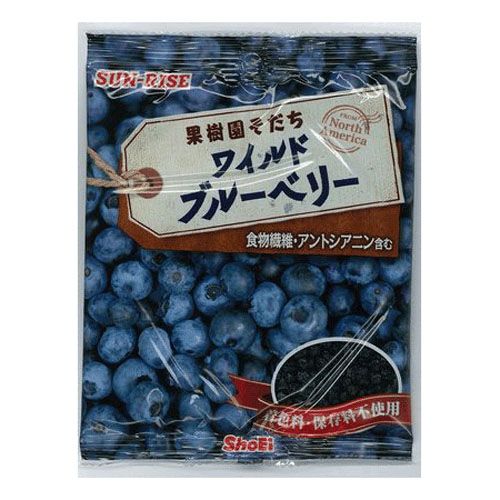 4901638839764







正栄食品工業
SUN－RISE ワイルドブルーベリー