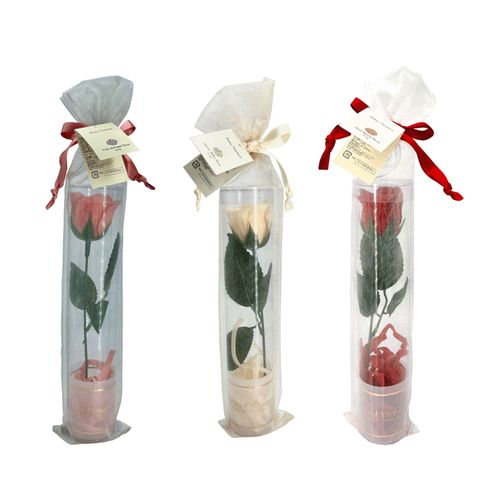 4934795380671







日本グランド・シャンパーニュ
ブレストフラワー フラワーソープ