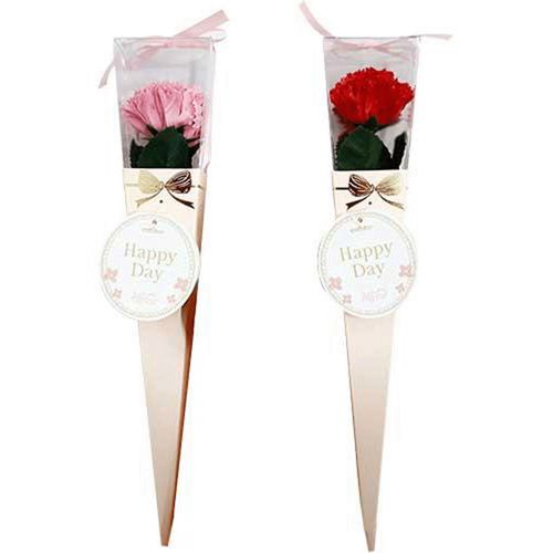 4538353806971







九州フラワーサービス
keleeブーケ miniカーネーション