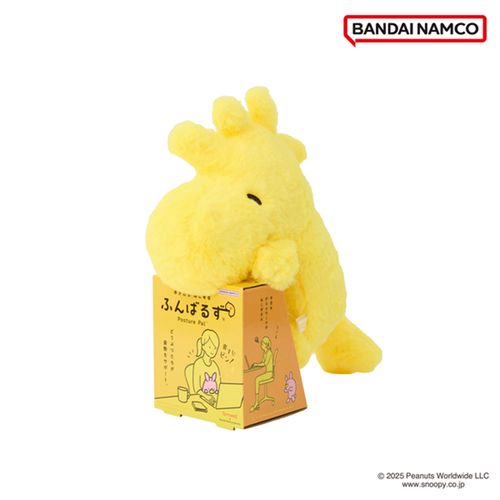 4571617934119



2593411



バンダイナムコヌイ
SNOOPY ふんばるず ウッドストック