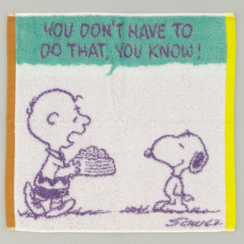 4908092517030



XT35706661



西川
ピーナッツ ウォッシュタオル スヌーピー Super time